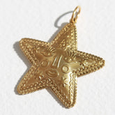 Gold star charm