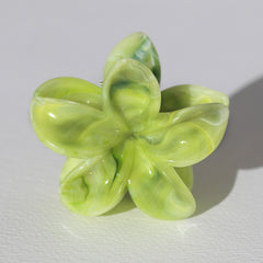 Haarklem bloem groen
