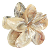 Cuerpo a cuerpo de flores de Haarklem